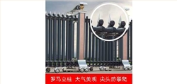 2011款欧雷克斯D-638电动伸缩门价格_尺寸